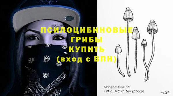 ALPHA PVP Алексин