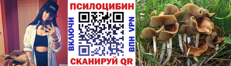 Псилоцибиновые грибы Magic Shrooms  Бронницы 